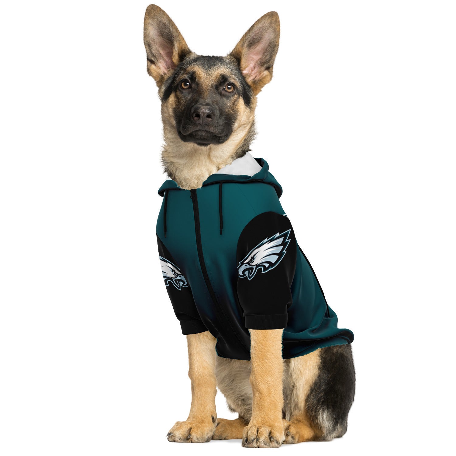 Eagles dog hoodie hotsell