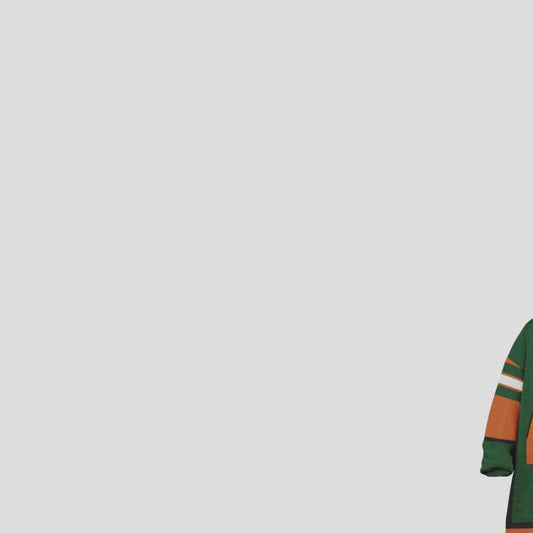 Youth FAMU Rattlers Green Oversize Cuddle Hoodie Young Fan Gift From Alumni